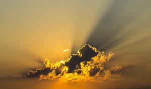 Diferencias entre un ERP en la nube y un ERP on-site