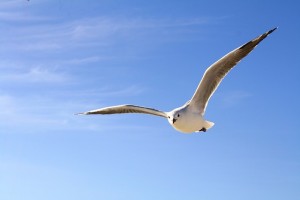 El cloud computing es mucho más que ahorro de costes